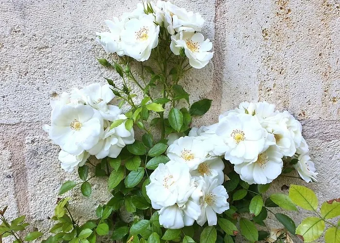 Demeure De La Combe *